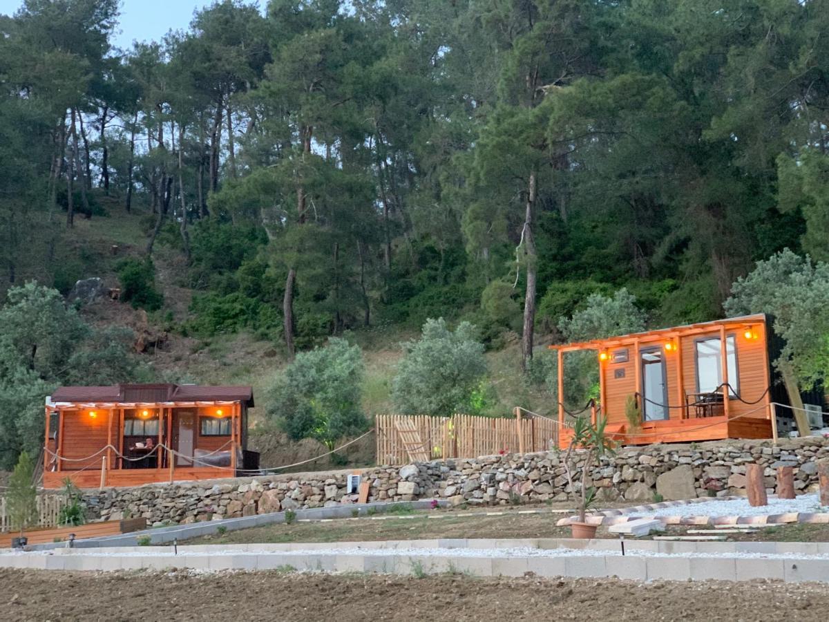 Hotel Tiny Mini House Dalaman Exterior foto