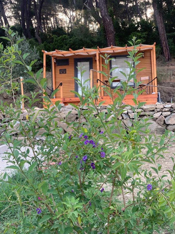 Hotel Tiny Mini House Dalaman Exterior foto
