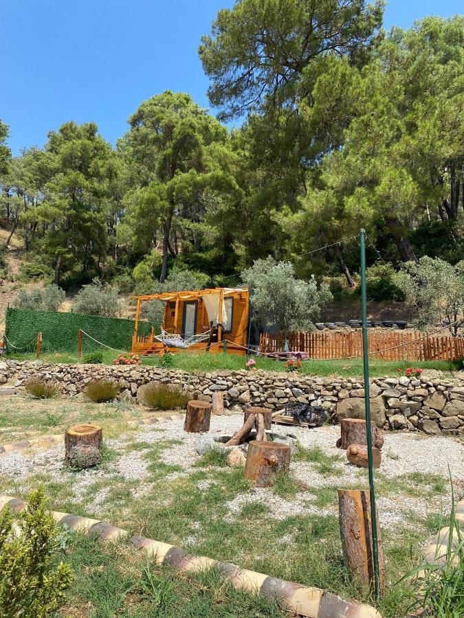 Hotel Tiny Mini House Dalaman Exterior foto