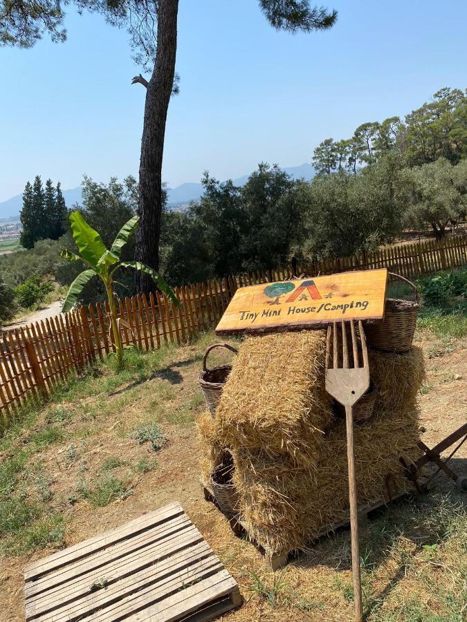 Hotel Tiny Mini House Dalaman Exterior foto