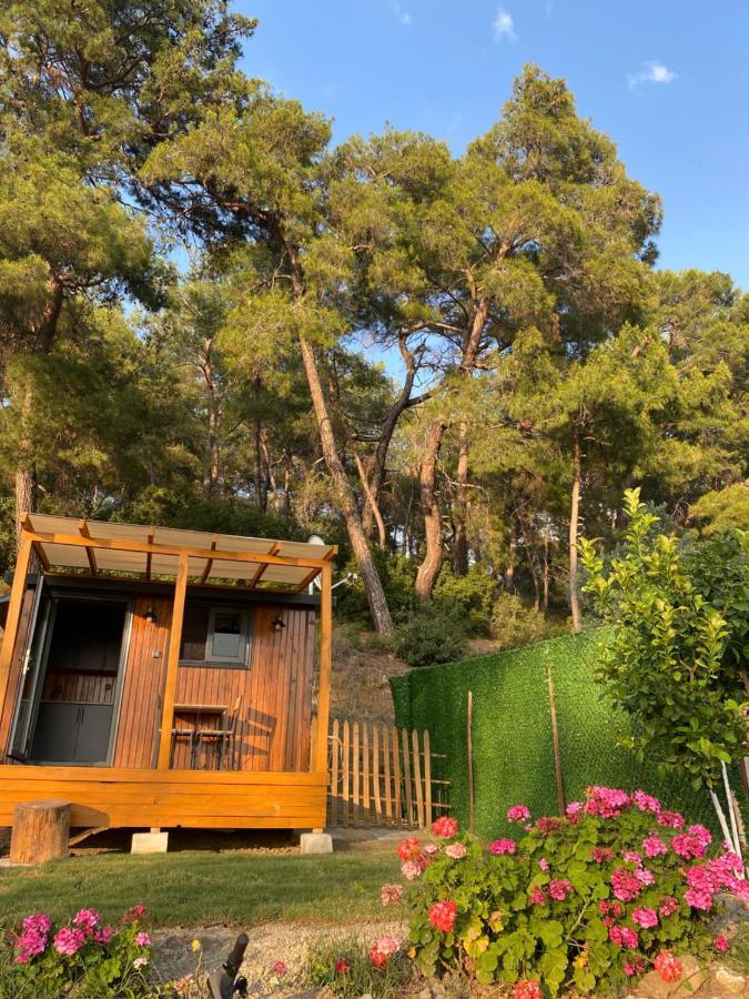 Hotel Tiny Mini House Dalaman Exterior foto